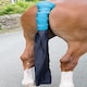image 6 of Shires Padded Tail Guard With Bag Blue | Colour: Navy Blue
Size: One Size