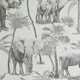 image 1 of Arthouse Safari Elephant Wallpaper - Grey - 32.8ft x 21in Grey