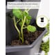 image 6 of GUSTA GARDEN Paul Potato Potato Tower 3-Tier anthracite - Raised Bed Potato Tower - Garden & Balcony - Pest protection - 0.2m² -42L Soil Capacity
