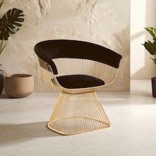 Interiors by Premier Black Velvet and Gold Finish Chair, Easy to Clean Small Velvet Chair, Large Black Steel Frame Armchair