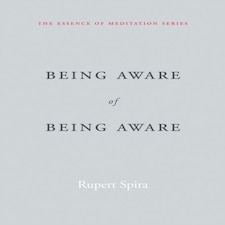Being Aware Of Being Aware