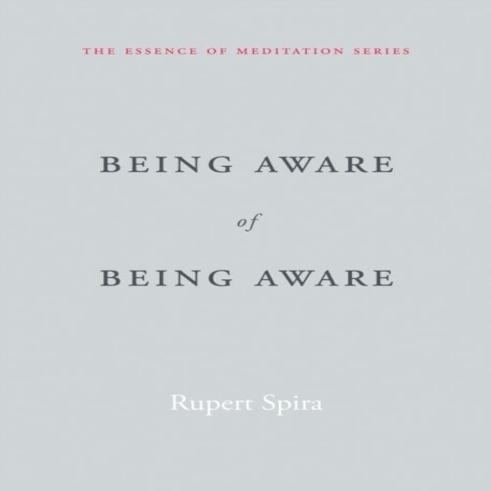 Being Aware Of Being Aware