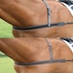 image 2 of Shires Blenheim Elastic Breastgirth Black | Size: One Size
Colour: Black