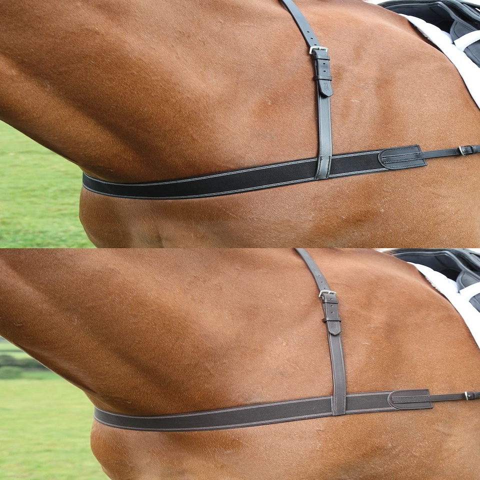 image 1 of Shires Blenheim Elastic Breastgirth Black | Size: One Size
Colour: Black