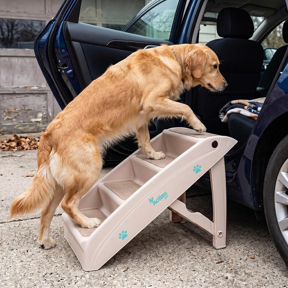 image 1 of Lightweight Folding Pet Stairs Beige