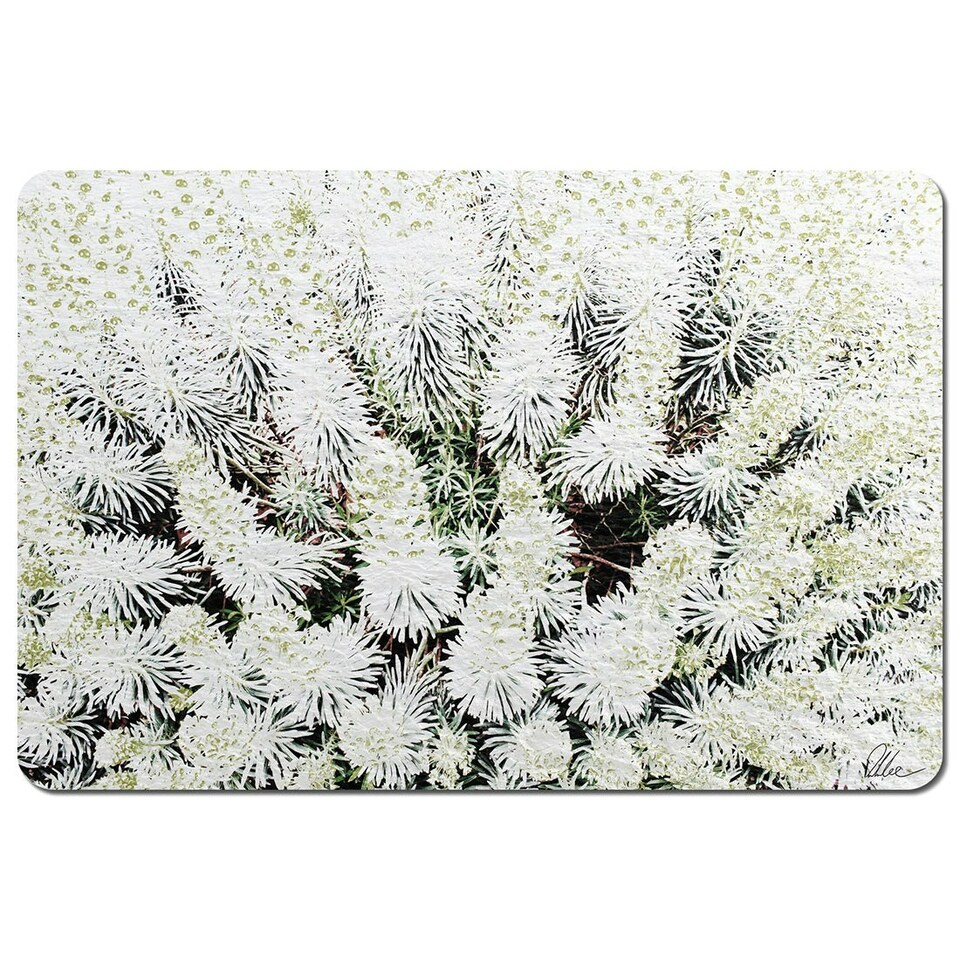 Beautifully White (Placemat)
