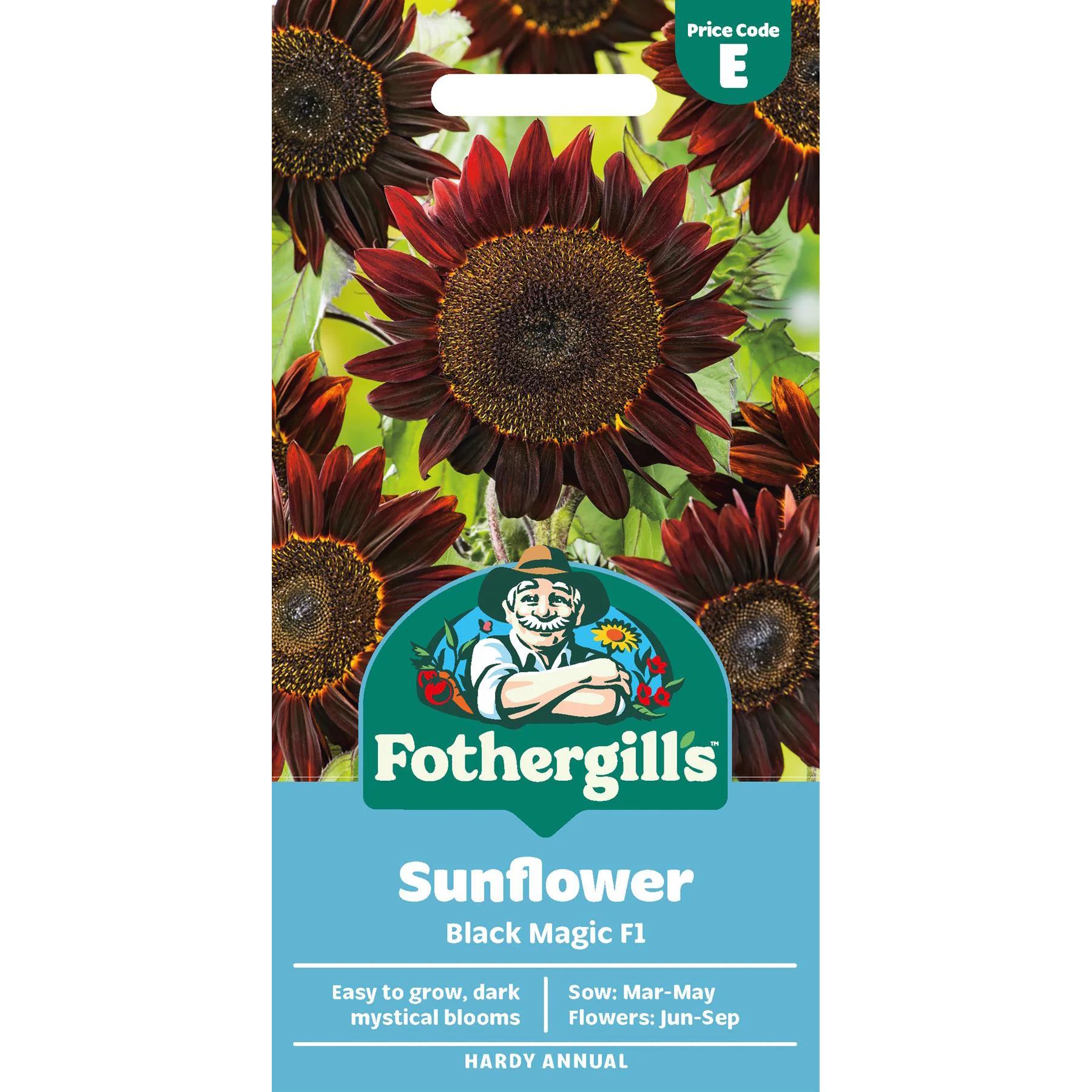 M*A様 Mr. Seeds Sunflower Tossing Bobbleh Fothergills Premium Sunflower Seeds - Black Magic - Tesco Groceries