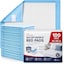 Blue - 100 pack