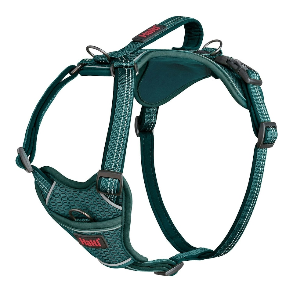 Halti Anatomy Harness Teal - X Large