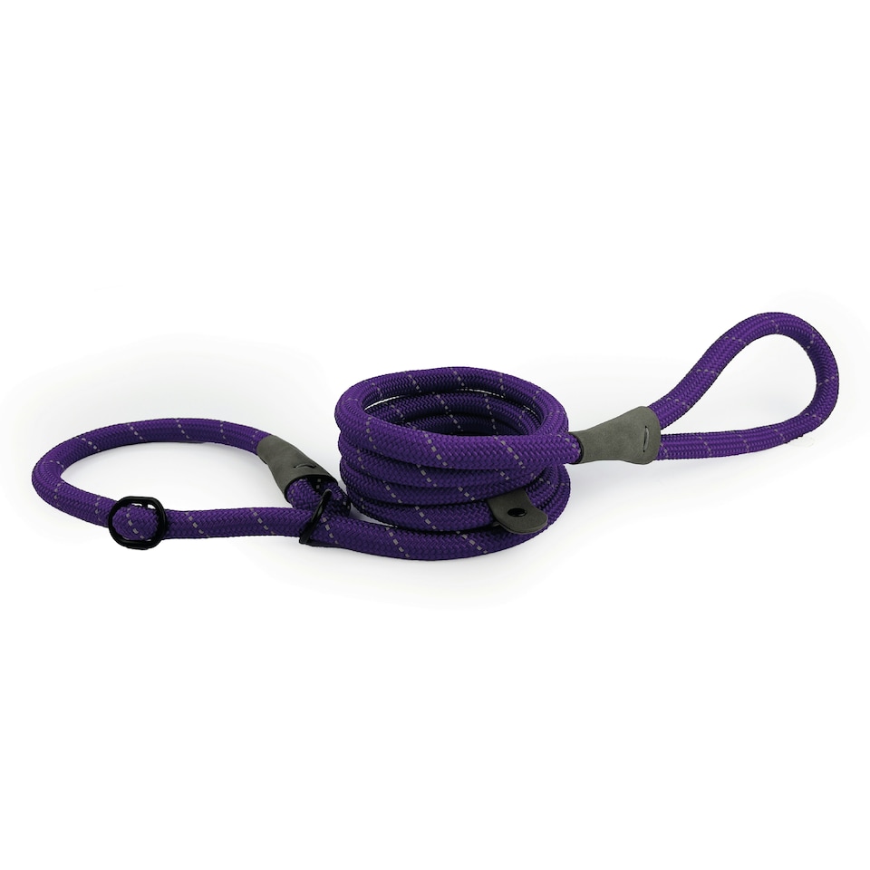 image 1 of HugglePets Advanced Reflective Slip Rope Dog Lead | Purple