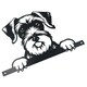 image 4 of Black Metal Peeking Schnauzer Silhouette with Fixing Plate Garden Ornament Gift
