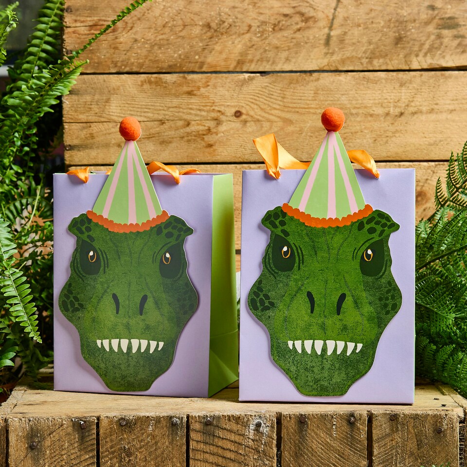image 1 of Dinosaur Party Bags - Pack of 5