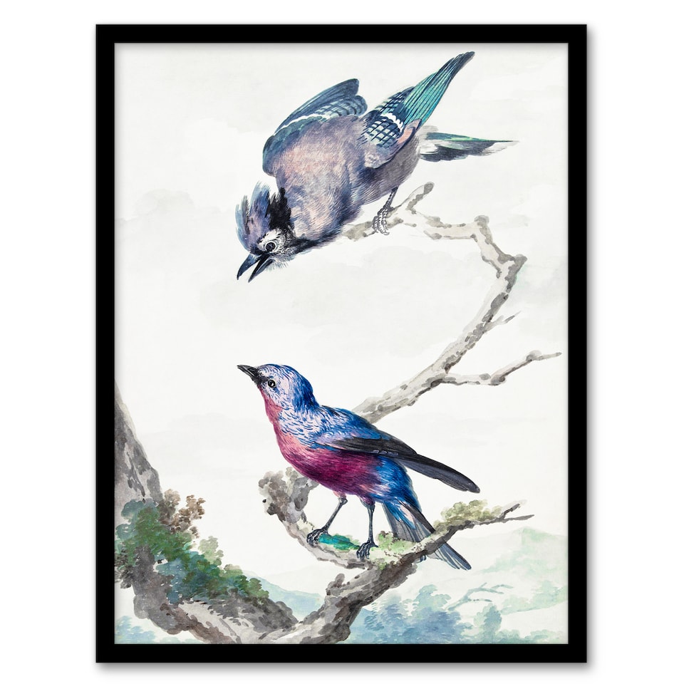 image 1 of Aert Schouman Framed Wall Art Blue Jay and a Purple Breasted Cotinga Home Décor