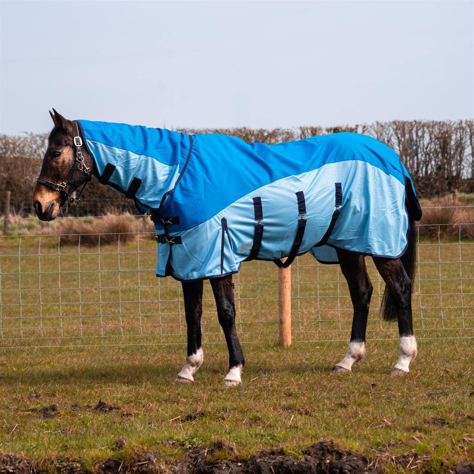 image 1 of eQuitack 600D 2 in 1 Waterproof Fly Turnout Mesh Horse Rug Fixed Neck Blue/Light Blue 6'6''