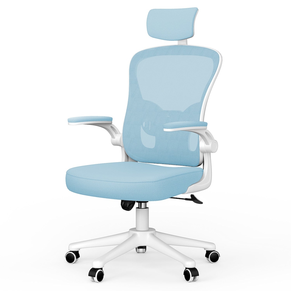 image 1 of Rattantree Ergonomic Office Chair With Headrest & Lumbar Support