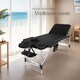 image 9 of Massage Table Phuket - 3 zones, 70 cm wide, aluminium frame, carry bag and masks | Black | black | 1