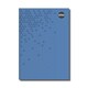 image 1 of Pack of 5 Rhino A4 Casebound 192 Page Blue 8mm Lined Hardback NoteBooks