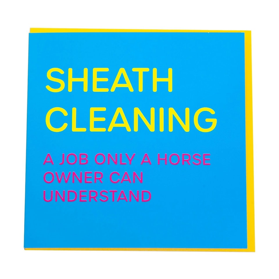 Gubblecote Sheath Cleaning Greetings Card - Blue - One Size