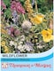image 1 of Wildflower Meadowland Mixture 1 Seed Packet (1 Gram Seeds)