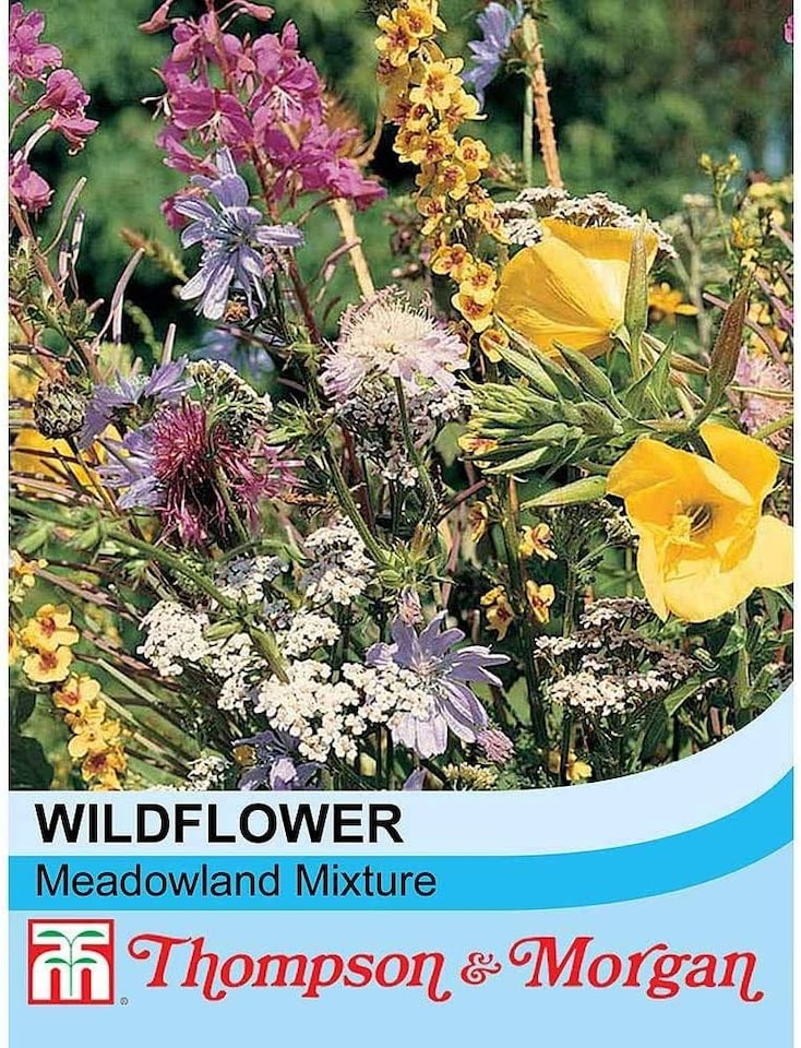 image 1 of Wildflower Meadowland Mixture 1 Seed Packet (1 Gram Seeds)