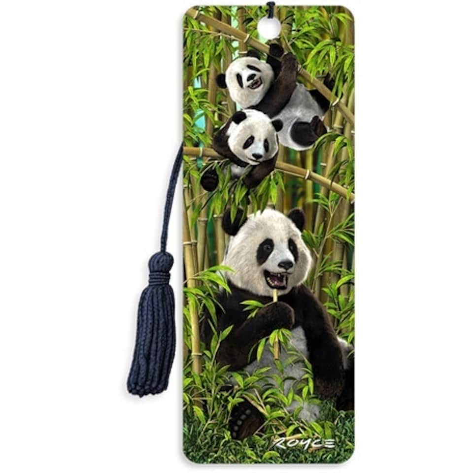 3D Bookmark: Pandas