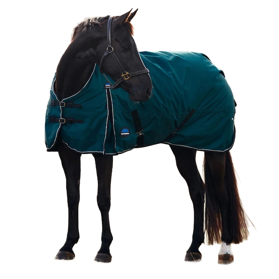 image 1 of Weatherbeeta Comfitec Classic Standard-Neck 50g Horse Turnout Rug | Green | Forest Green/Black | 5Ft | 1