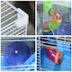 image 8 of Pawhut Hamster Cage Carrier Small Animal House w/ Exercise Wheels Tunnel Tube