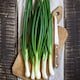 image 1 of Ishikura Bunching Onion Seeds - Hardy Perennial Mild Flavor Spring Onions
