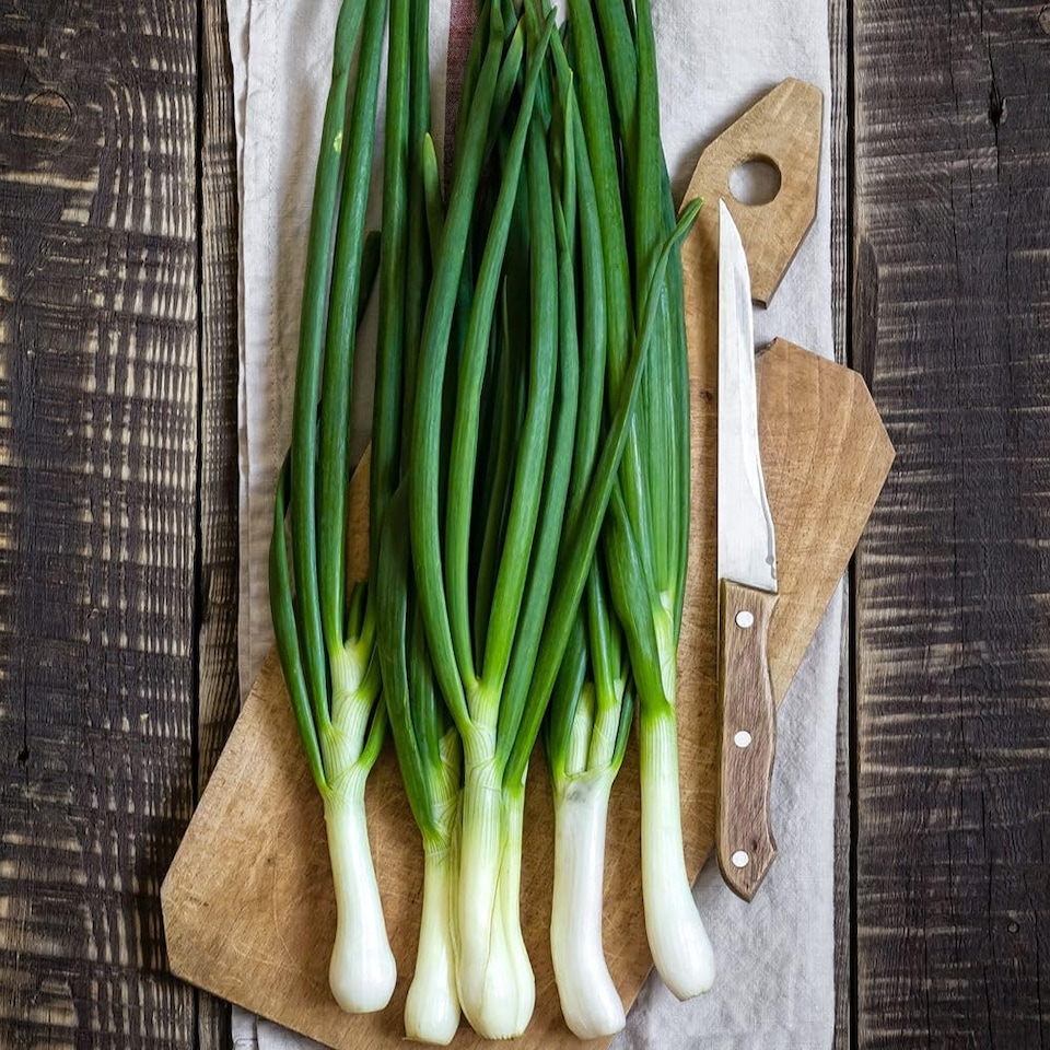 image 1 of Ishikura Bunching Onion Seeds - Hardy Perennial Mild Flavor Spring Onions