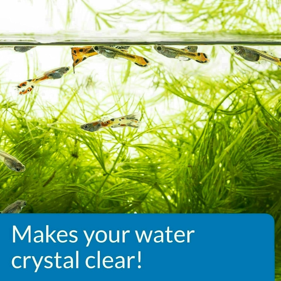 image 1 of API ACCU-CLEAR Freshwater Aquarium Water Clarifier 118 ml Bottle