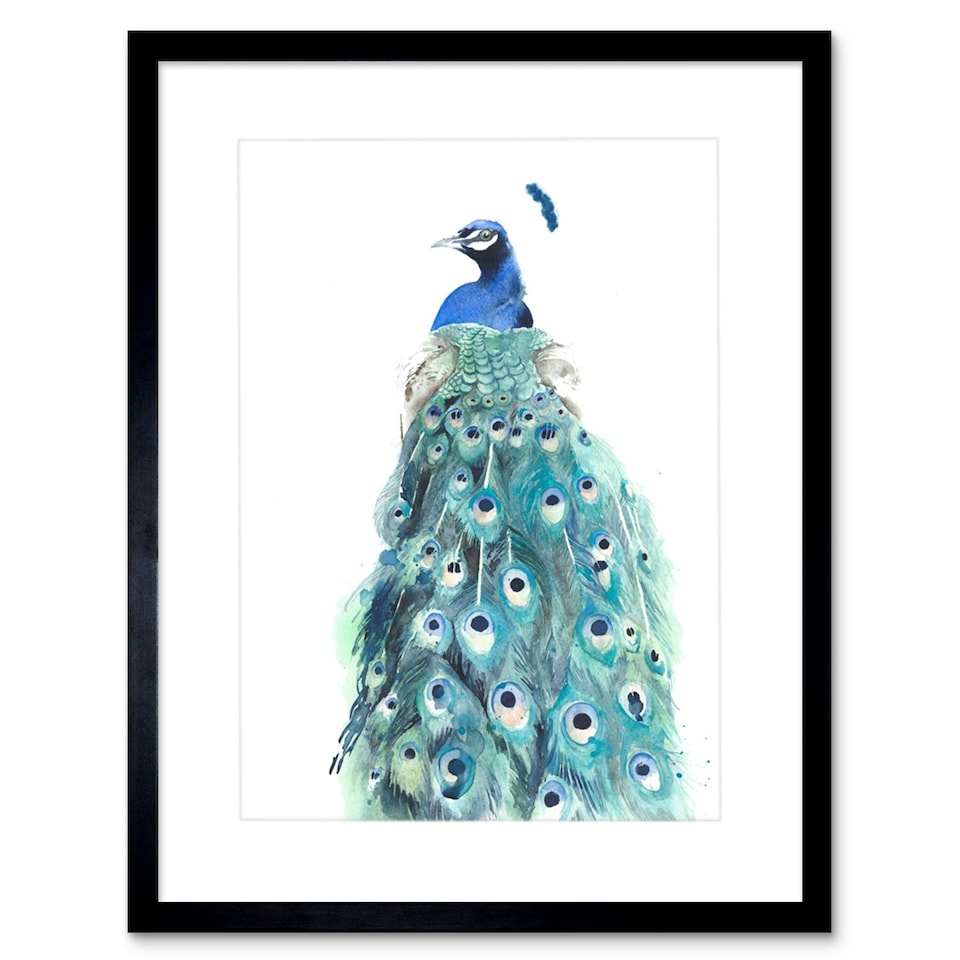 image 1 of Elegant Peacock Bird Tail Feathers Watercolour 9x7" Black Framed Wall Art Print