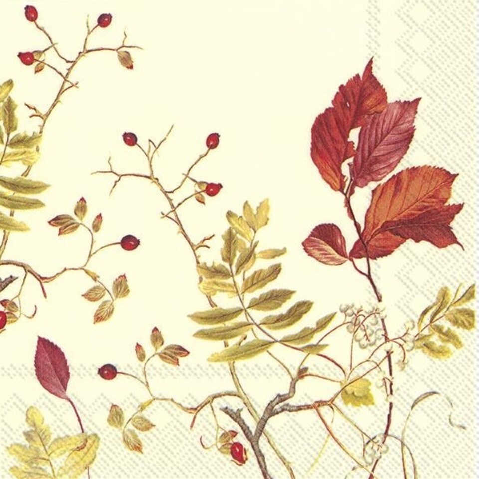 IHR  Fall Branches Cream&nbsp;Cocktail Napkins 25cm 3ply  20 Pack