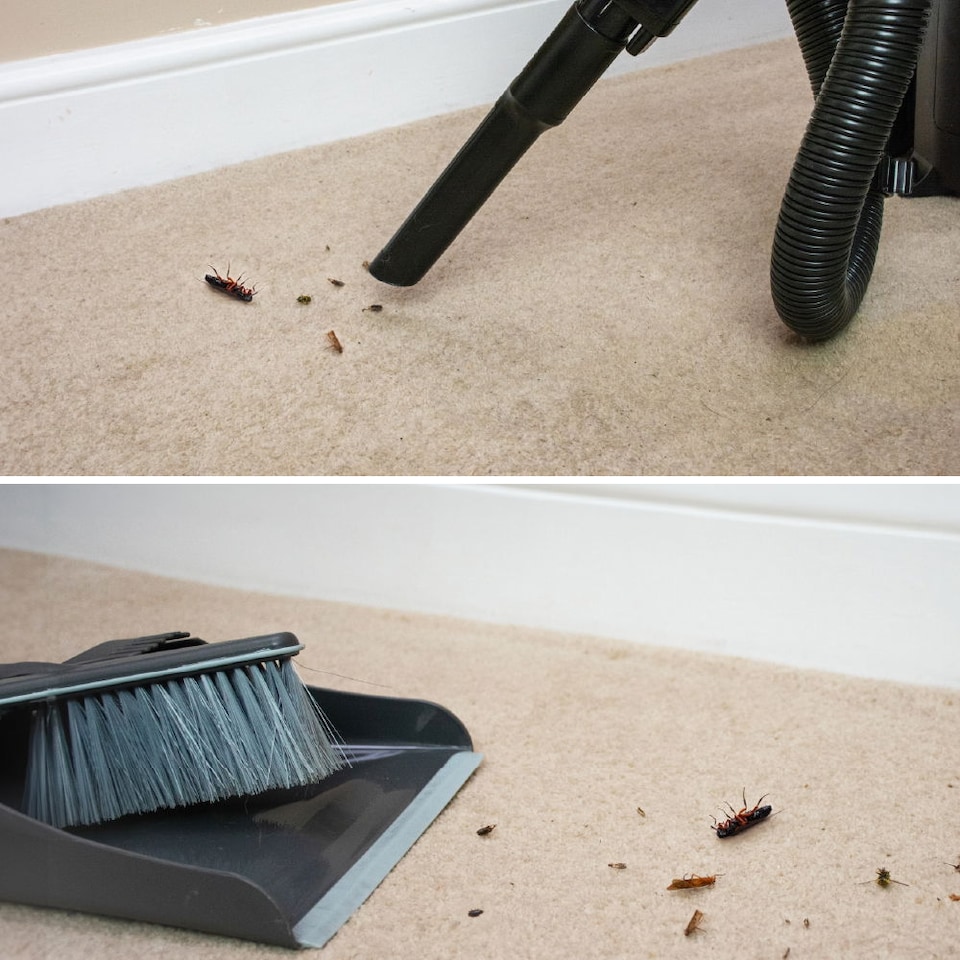 image 1 of NOPE Flea Smoke Bomb for the Home (14g x 6 - 6x8m) Coverage For Bed Bug, Fly, Mosquito, Cockroach & Other insects. For Indoor use