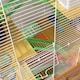 image 8 of Pawhut 5 Tier Hamster Cage Carrier Habitat w/ Exercise Wheels, Orange