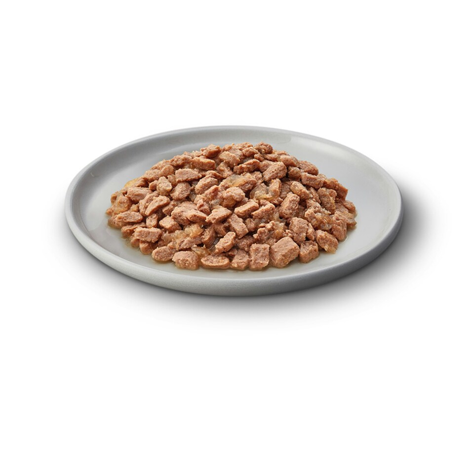 image 1 of James Wellbeloved Grain Free Kitten Cat Wet Food Chicken Jelly 12x85g