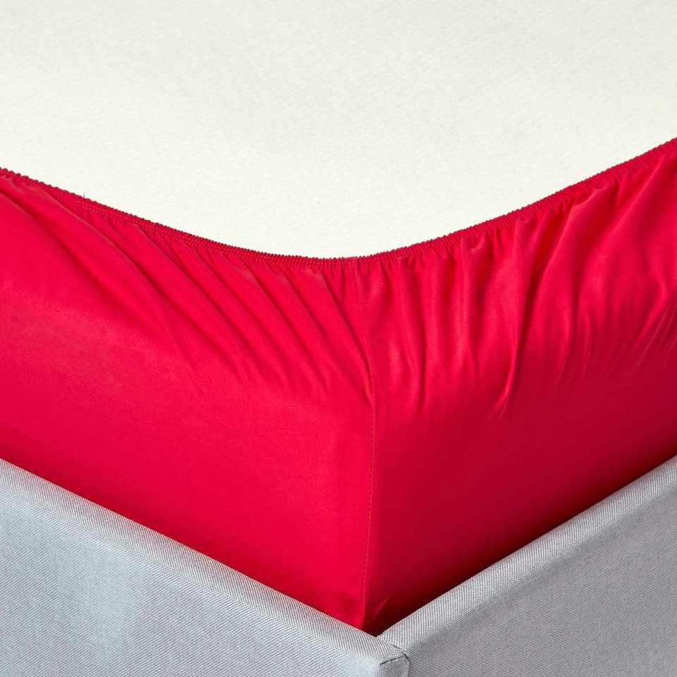 image 1 of Homescapes Red Egyptian Cotton Fitted Sheet 200 TC, Super King Red | Super King