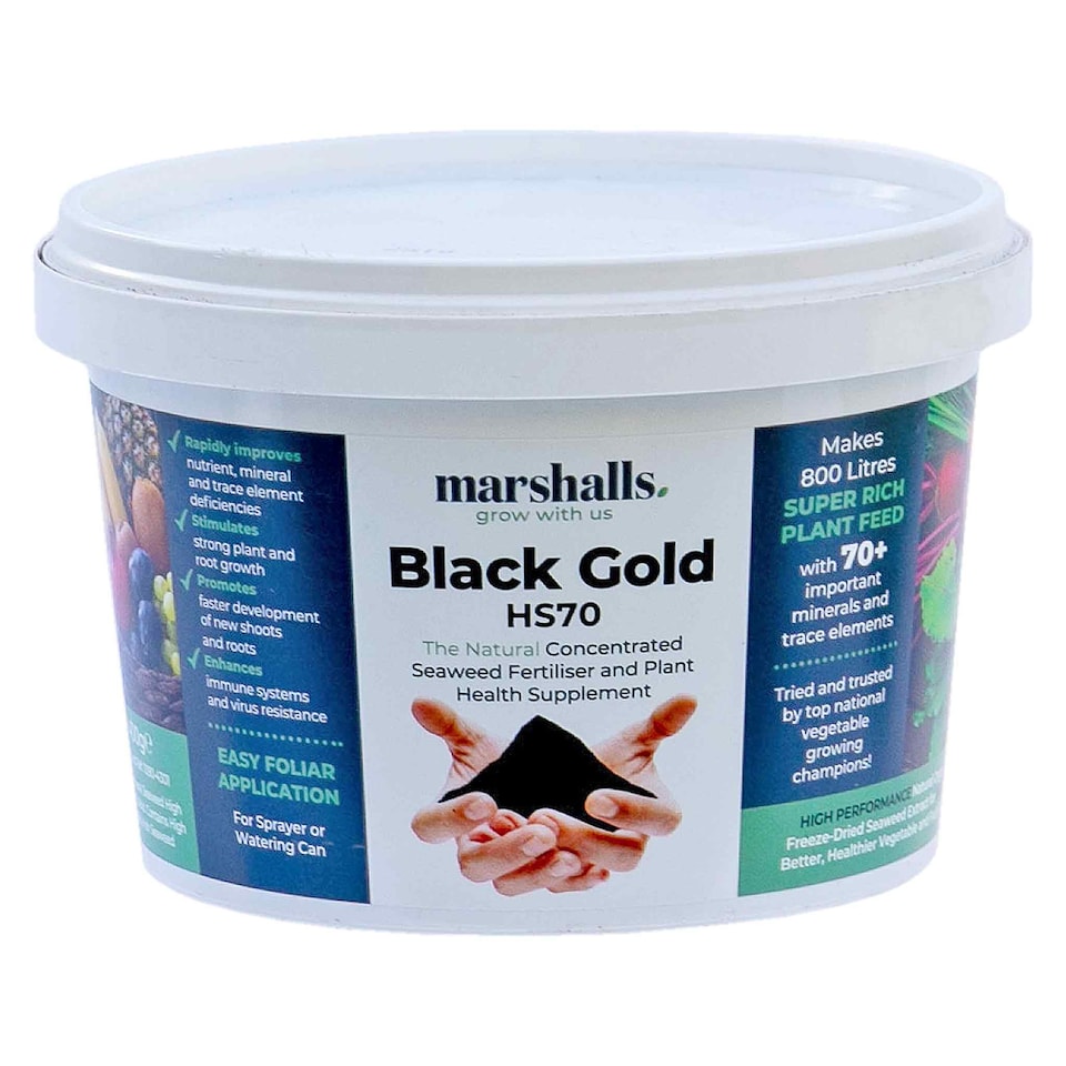 image 1 of Marshalls Garden Bio-Gro Black Gold seaweed foliar feed 400g | Brown | Tub | 1