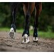 image 2 of ARMA Carbon Flex Horse Fetlock Boots - Black - Cob