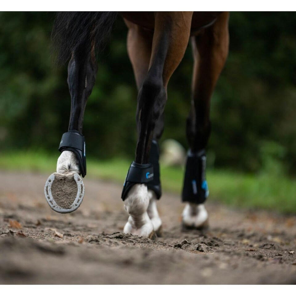image 1 of ARMA Carbon Flex Horse Fetlock Boots - Black - Cob