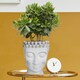 image 9 of White Oval Face Planter Head Buddha Plant Pot Indoor Pot Cover L19 W18 H24 cm, 2.6 ltrs Cap.