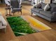 image 2 of Green Corn Field In Agricultural Garden And Light Shines Sunset Designer Rug | Multi
