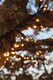 image 1 of Cluster Lights Black Rubber IP65 Copper Gold 15M