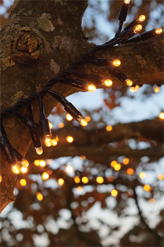 image 1 of Cluster Lights Black Rubber IP65 Copper Gold 15M