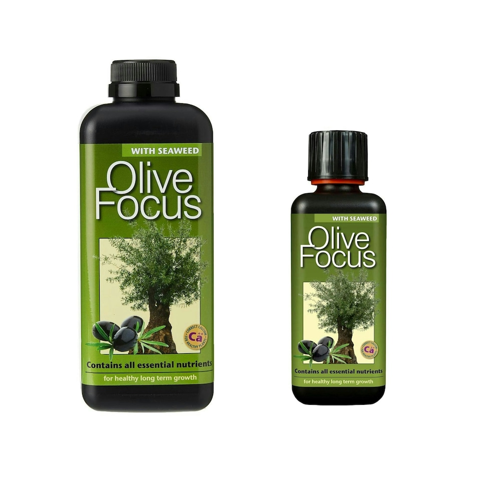 image 1 of Growth Technology Olive Focus N/A | S