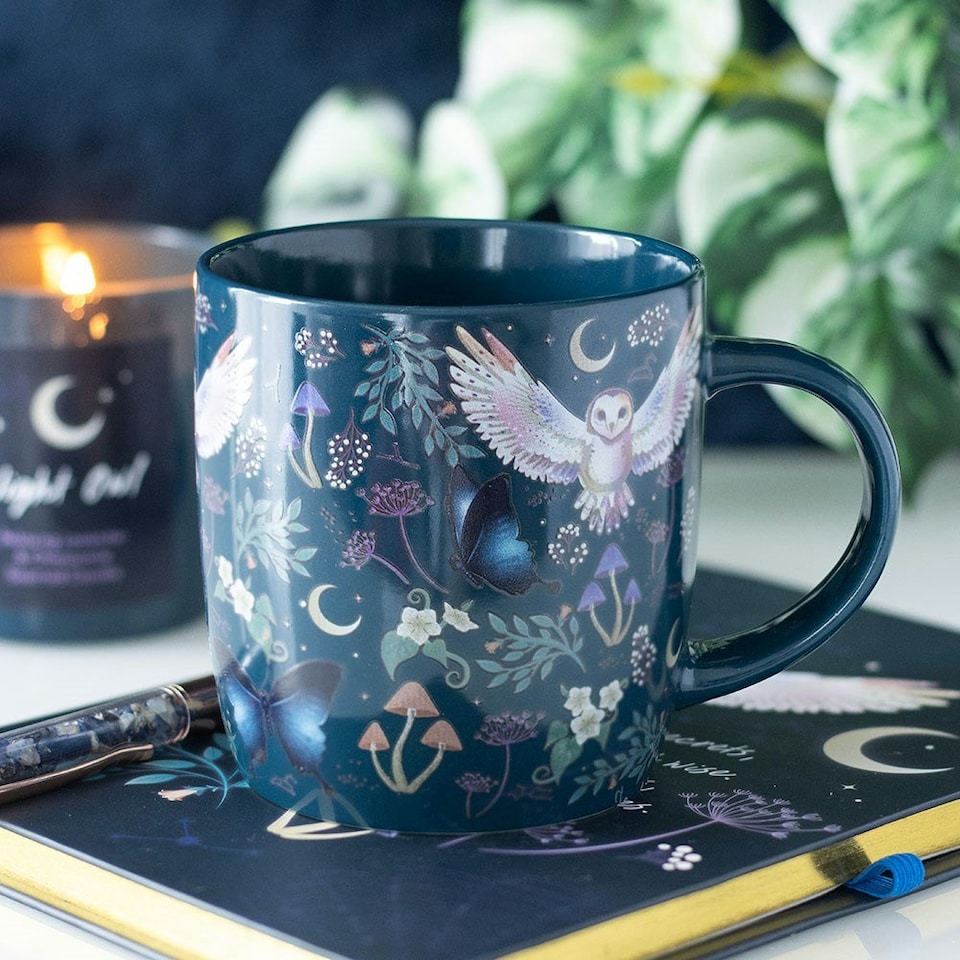 image 1 of Ceramic Night Owl Mug 320ml