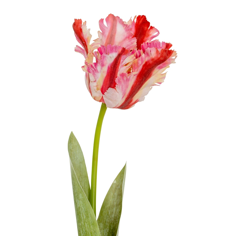 image 1 of Hill Interiors Parrot Tulip Artificial Flower | Green | Green/Pink | One Size | 1