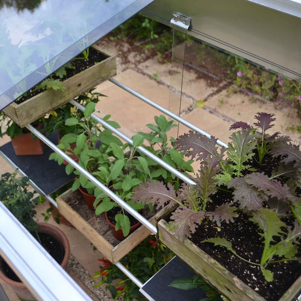 image 1 of Marshalls Garden 4' 3/4 Midi Growhouse - Aluminium Frame, 3mm Toughened Glass