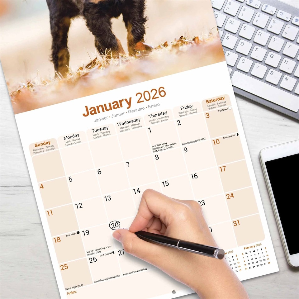 image 1 of Gordon Setter 2026 Calendar | Square Wall Calendar | Dog Breed Gift | Plastic Free Packaging | by Avonside Publishing