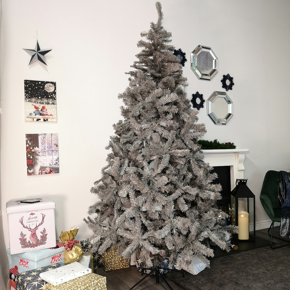 image 1 of 8ft (2.4m) Plain Grey Colorado Spruce Wrapped Christmas Tree 1097 Tips