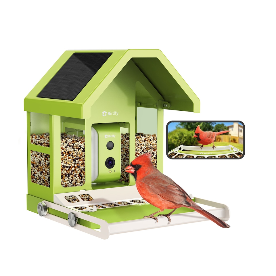 image 1 of BIRDFY FEEDER METAL AI RECOGNITION